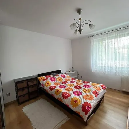 Apartament Open'er 2023 * Pierwoszyno